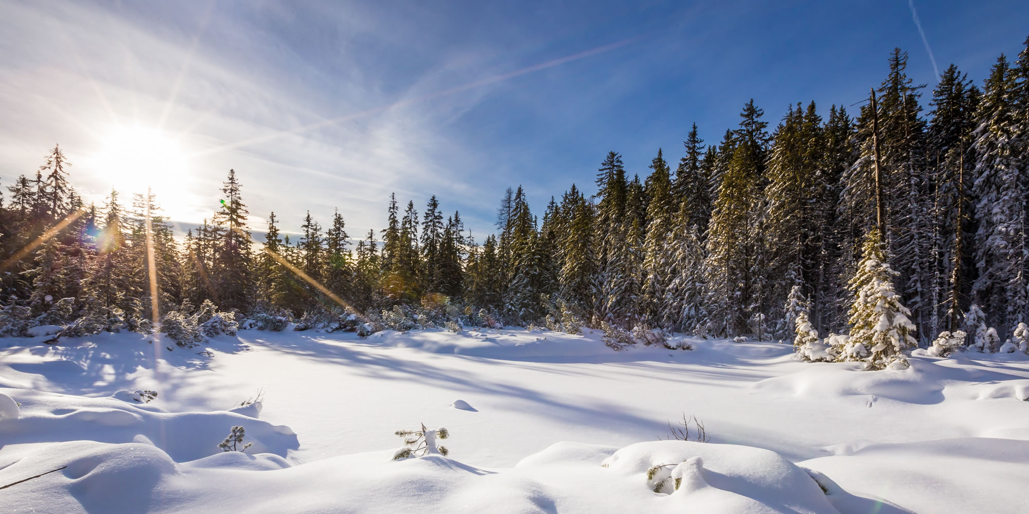 Verschneiter Winterwald © Coen Weesjes