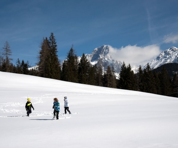Kinder spielen im Schnee vor Stubenrauschhof