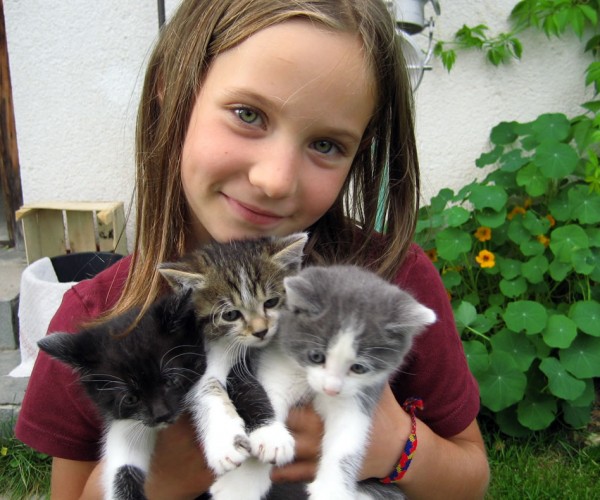 Knuddeln mit unseren Katzen