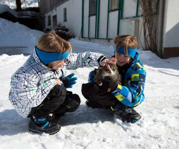 Kinder spielen mit Katze