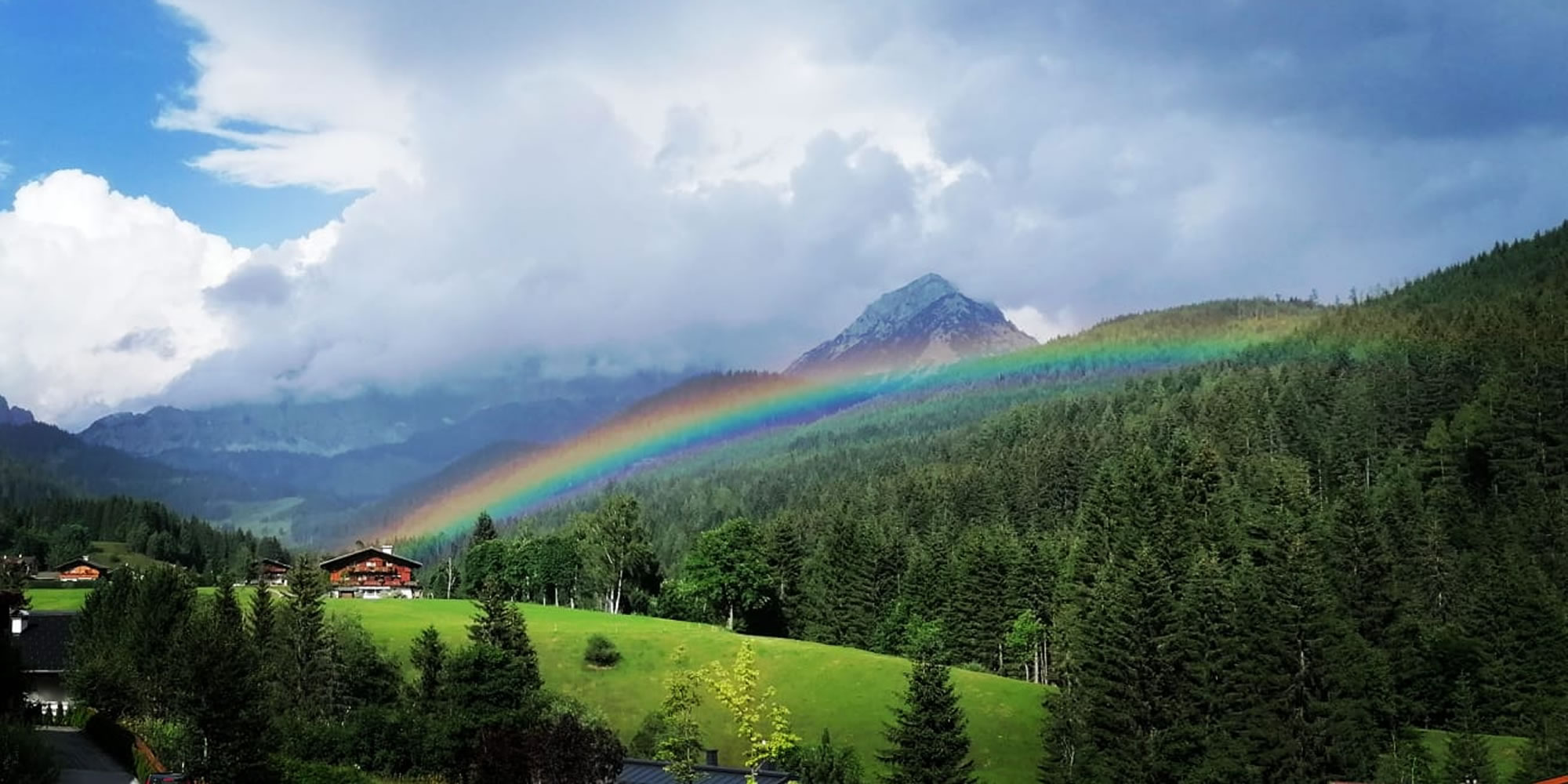 Baumwurzeln & Blumen © Coen Weesjes