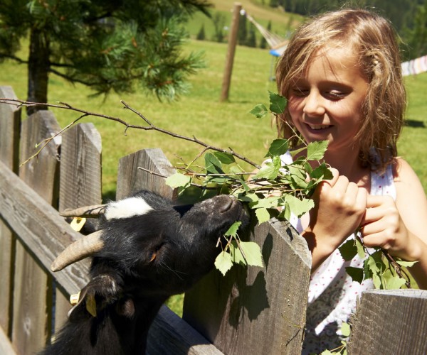Mädchen füttert Ziege im Streichelzoo am Stubenrauschhof